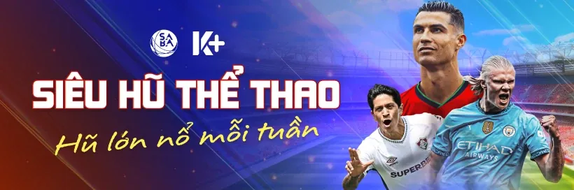 Đa dạng các trận đấu đá gà từ các trường gà lớn
